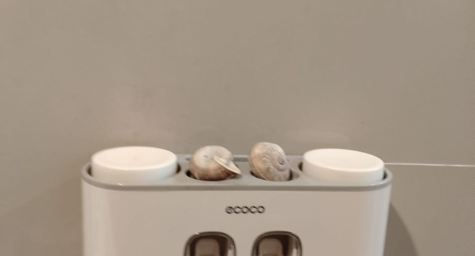出租 2 卧室 独立屋 在 Mueang Krabi, Krabi