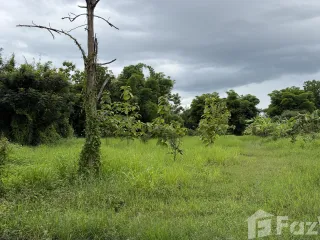 Продажа Участок в Mueang Loei, Loei