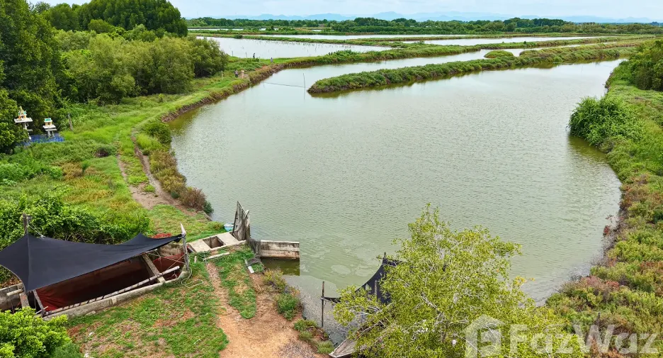 For sale land in Ban Laem, Phetchaburi