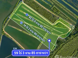 For sale land in Ban Laem, Phetchaburi