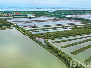 For sale land in Ban Laem, Phetchaburi