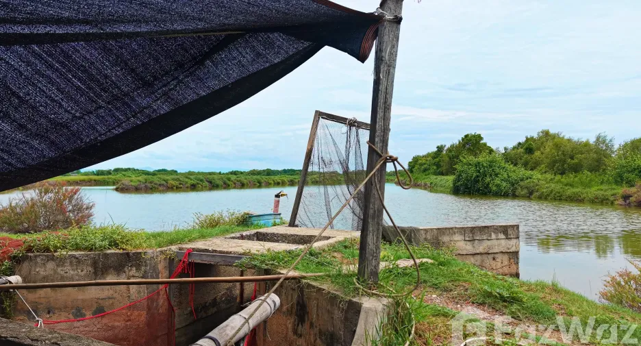 For sale land in Ban Laem, Phetchaburi