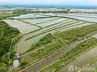 For sale land in Ban Laem, Phetchaburi
