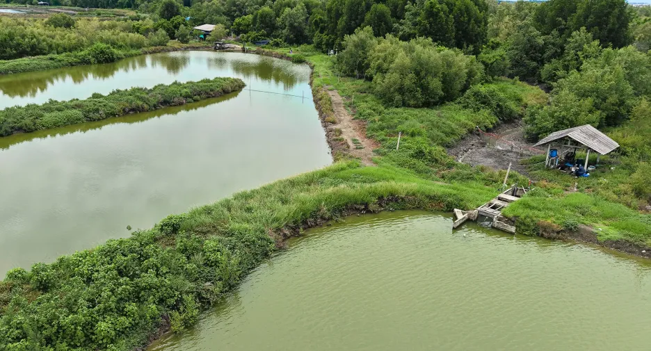 For sale land in Ban Laem, Phetchaburi