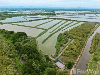 For sale land in Ban Laem, Phetchaburi