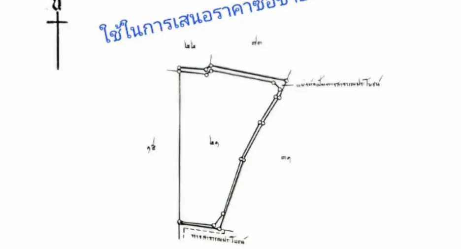 For sale land in U Thong, Suphan Buri