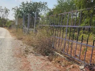 For sale land in U Thong, Suphan Buri