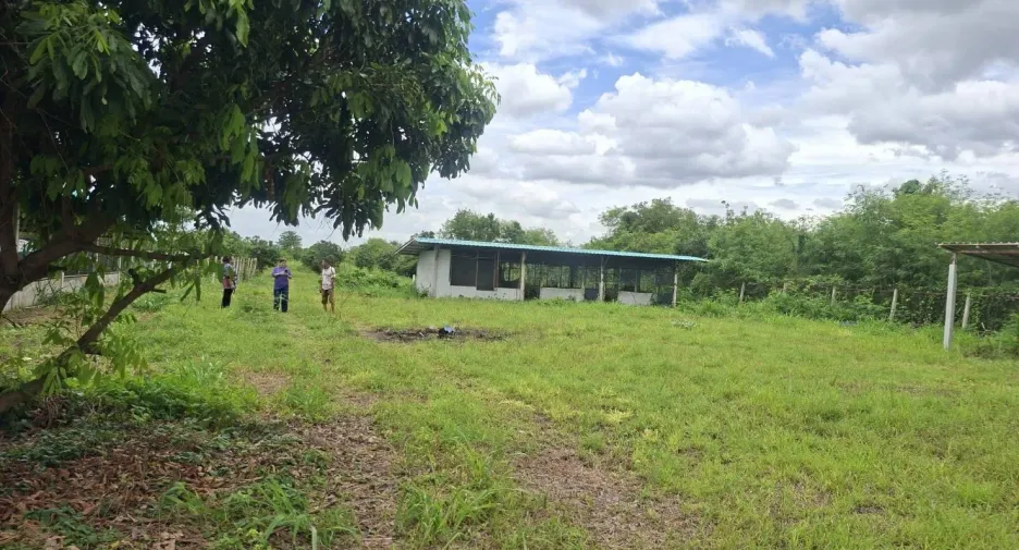For sale land in Phatthana Nikhom, Lopburi