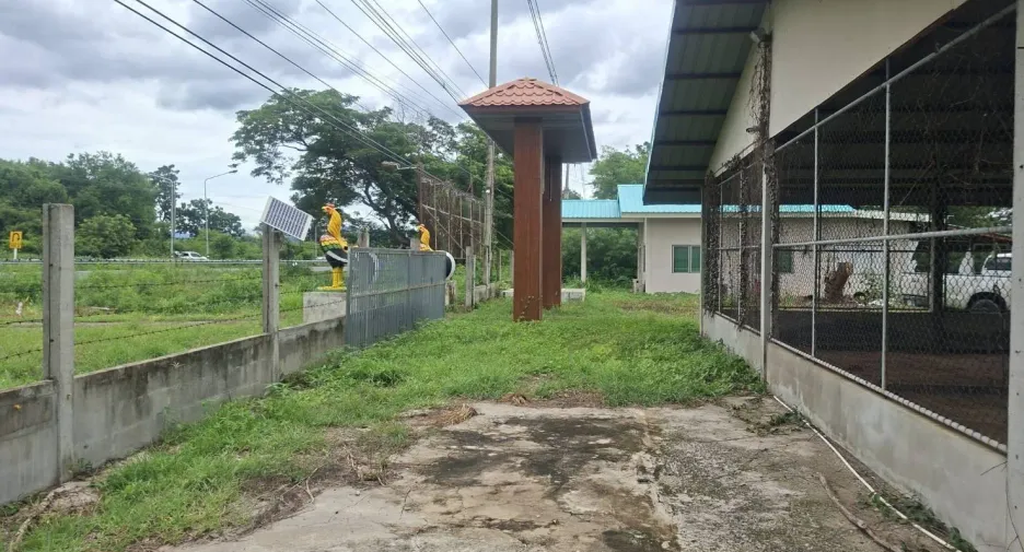 For sale land in Phatthana Nikhom, Lopburi