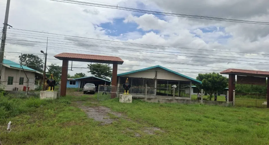 For sale land in Phatthana Nikhom, Lopburi