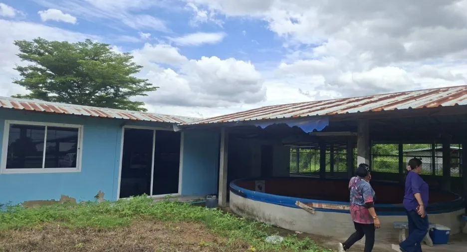 For sale land in Phatthana Nikhom, Lopburi