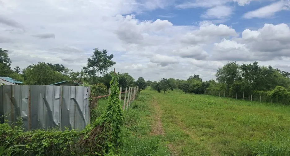 For sale land in Phatthana Nikhom, Lopburi
