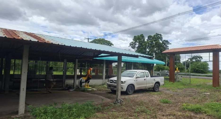 For sale land in Phatthana Nikhom, Lopburi