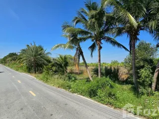 For sale land in Sai Noi, Nonthaburi