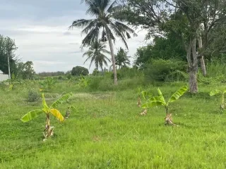 À vendre terrain à Hua Hin, Prachuap Khiri Khan