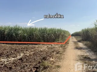 For sale land in Erawan, Loei