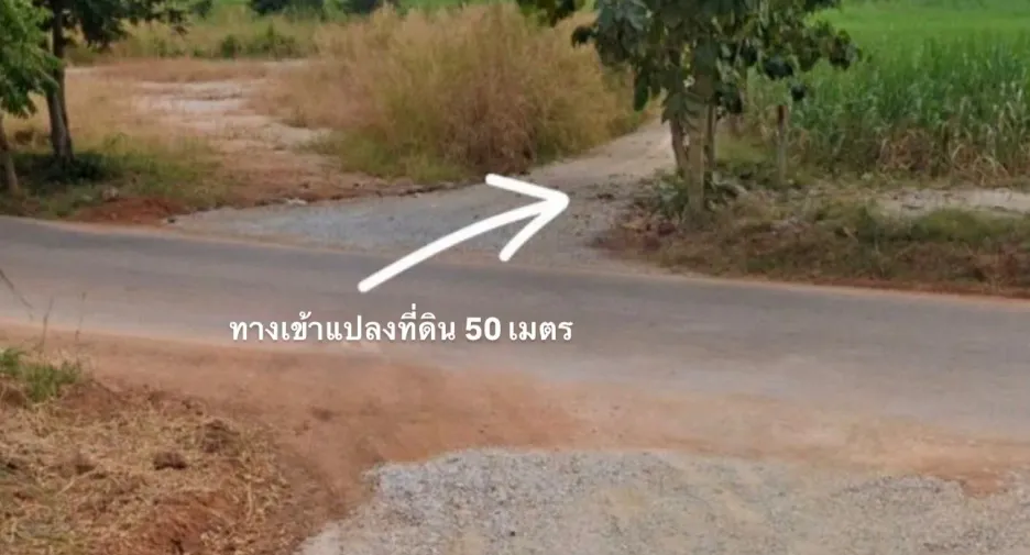 For sale land in Erawan, Loei