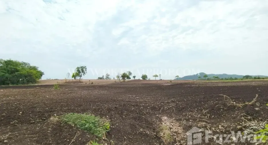 Terreno en venta en Ban Mi, Lopburi