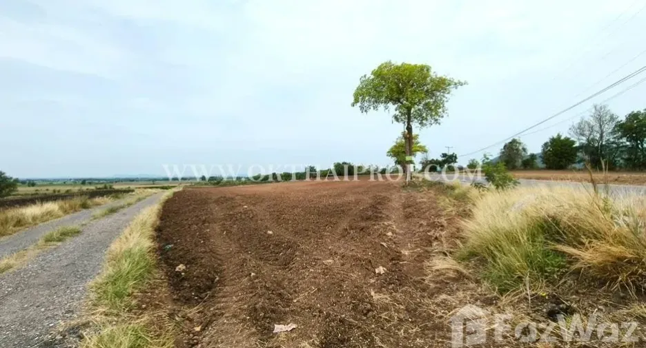 Terreno en venta en Ban Mi, Lopburi