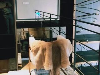 For rent 1 bed condo in Sathon, Bangkok