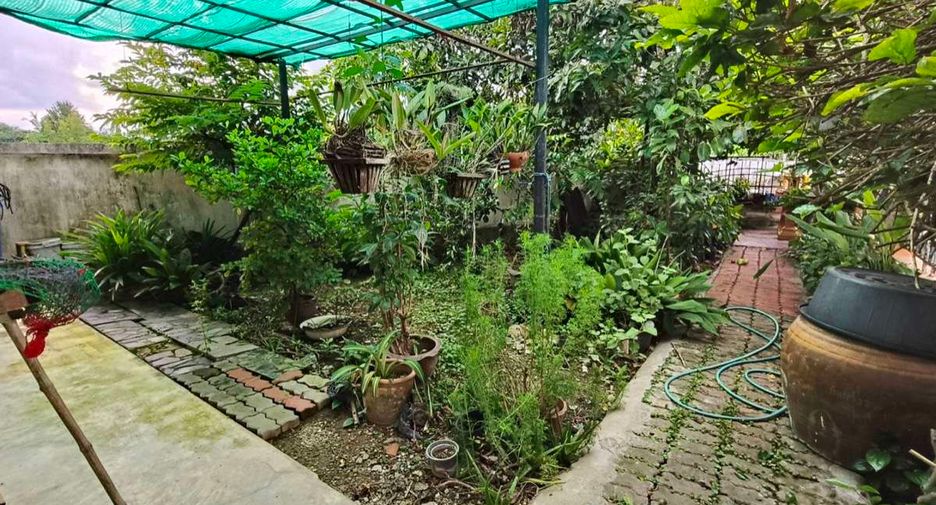 For rent 4 bedrooms house in Doi Saket, Chiang Mai