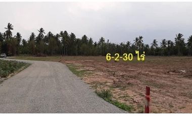 出售 土地 在 Si Racha, Chon Buri