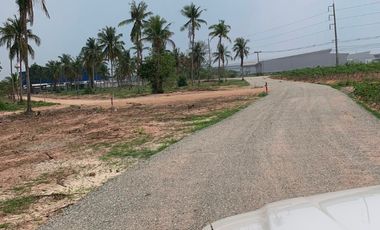 出售 土地 在 Si Racha, Chon Buri