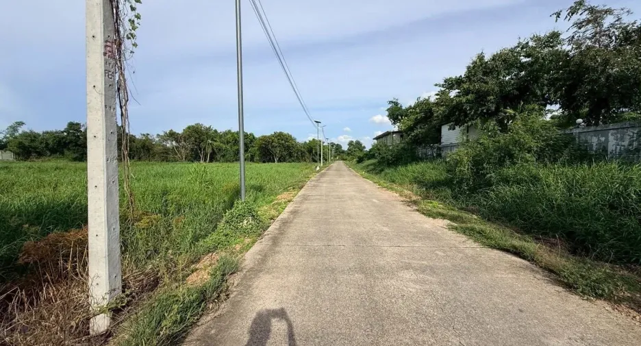 For sale land in Sam Khok, Pathum Thani