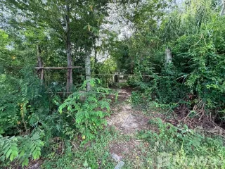 For sale land in Sam Khok, Pathum Thani