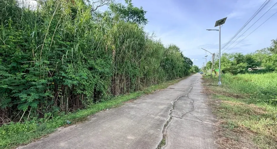 For sale land in Sam Khok, Pathum Thani
