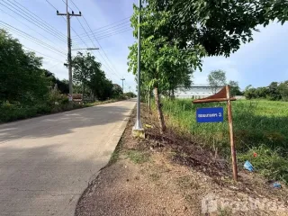 For sale land in Sam Khok, Pathum Thani