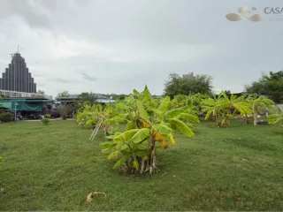 For sale land in Bang Lamung, Chonburi