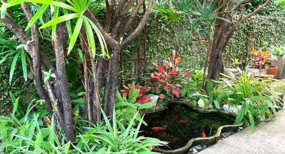 For rent 4 bedrooms house in Bang Kapi, Bangkok
