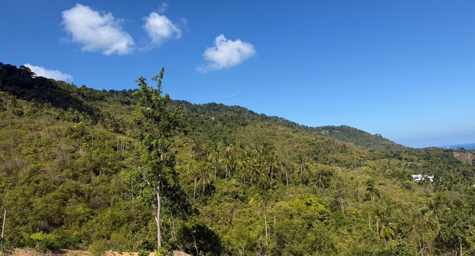 For sale land in Ko Samui, Surat Thani