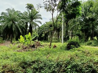 For sale land in Mueang Krabi, Krabi