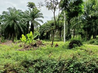 For sale land in Mueang Krabi, Krabi