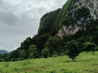 For sale land in Mueang Krabi, Krabi