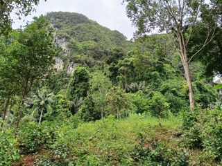 For sale land in Mueang Krabi, Krabi