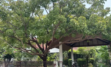 À vendre 4 chambres villa à Mueang Chiang Mai, Chiang Mai