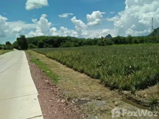 出售 土地 在 华欣, 班武里府