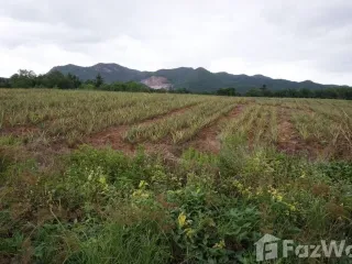 出售 土地 在 华欣, 班武里府