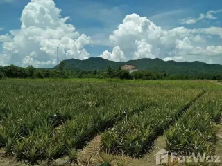 出售 土地 在 华欣, 班武里府
