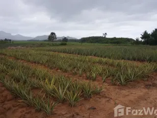 出售 土地 在 华欣, 班武里府