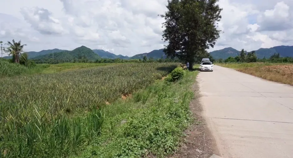 出售 土地 在 华欣, 班武里府
