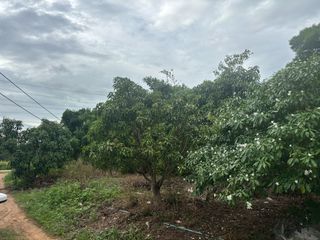 For sale land in Sam Roi Yot, Prachuap Khiri Khan
