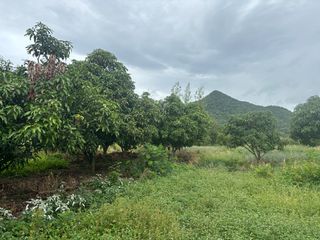 For sale land in Sam Roi Yot, Prachuap Khiri Khan