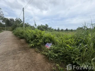 For sale land in Klaeng, Rayong