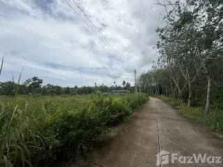 For sale land in Klaeng, Rayong