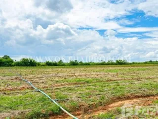 À vendre terrain à Dan Khun Thot, Nakhon Ratchasima