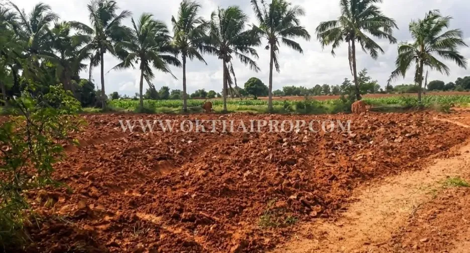 À vendre terrain à Dan Khun Thot, Nakhon Ratchasima